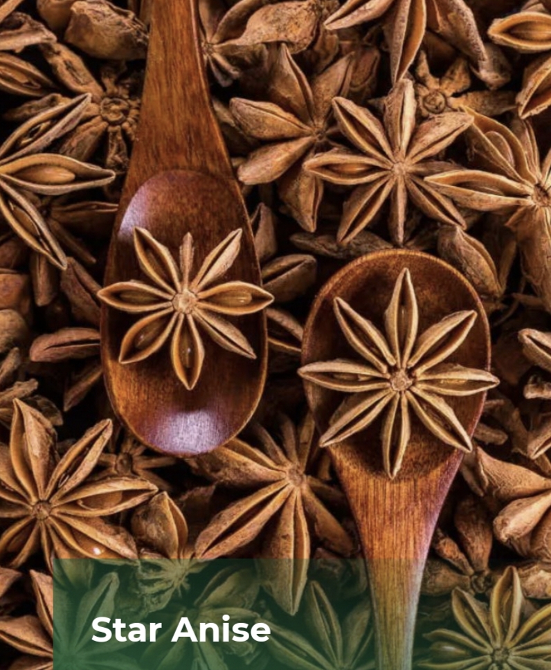 Star Anise